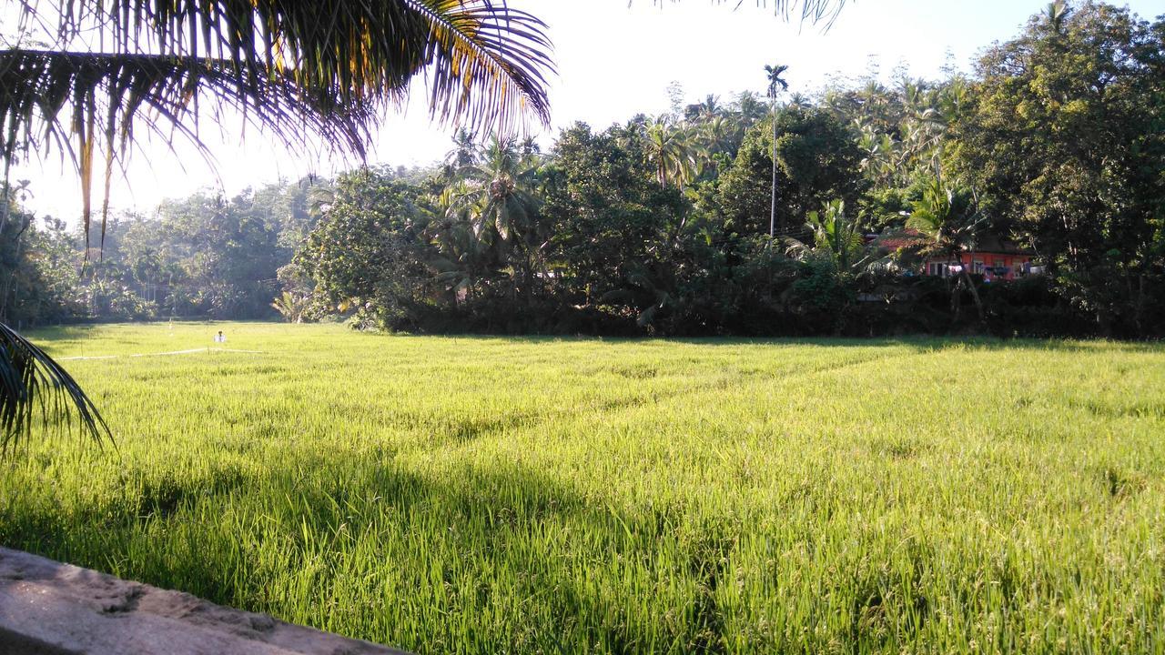 Villa Paddy Fields View Mirissa Exterior foto